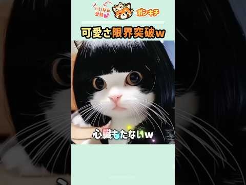 メイクした結果w 可愛さが限界突破