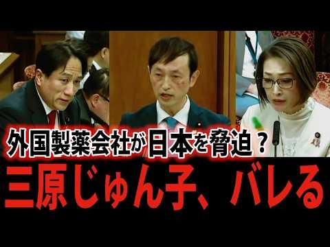 三原じゅん子氏と製薬企業の国会で明らかにされてしまう【HPVワクチン積極的勧奨再開/国会質疑まとめ】