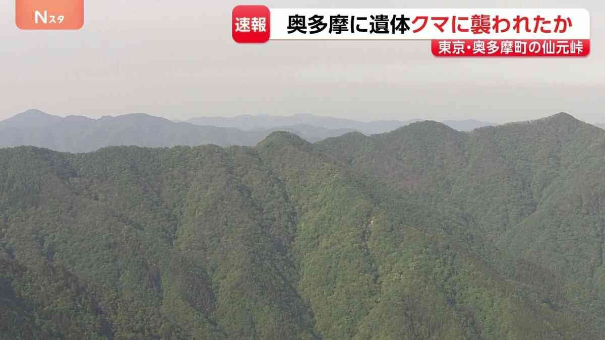 【速報】東京・奥多摩町仙元峠で上半身のない遺体　クマに襲われた可能性　周辺には大型動物の足跡　警視庁が身元確認を進める | TBS NEWS DIG