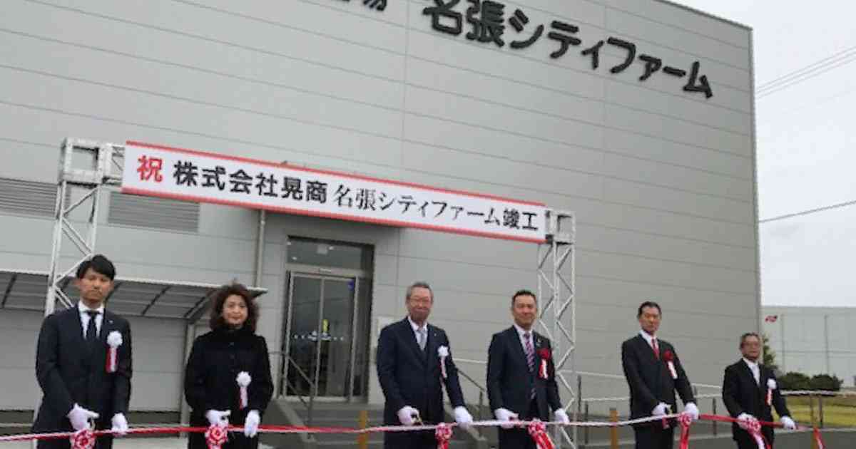国内最大規模のレタス工場が本格稼働　三重・名張 - 日本経済新聞