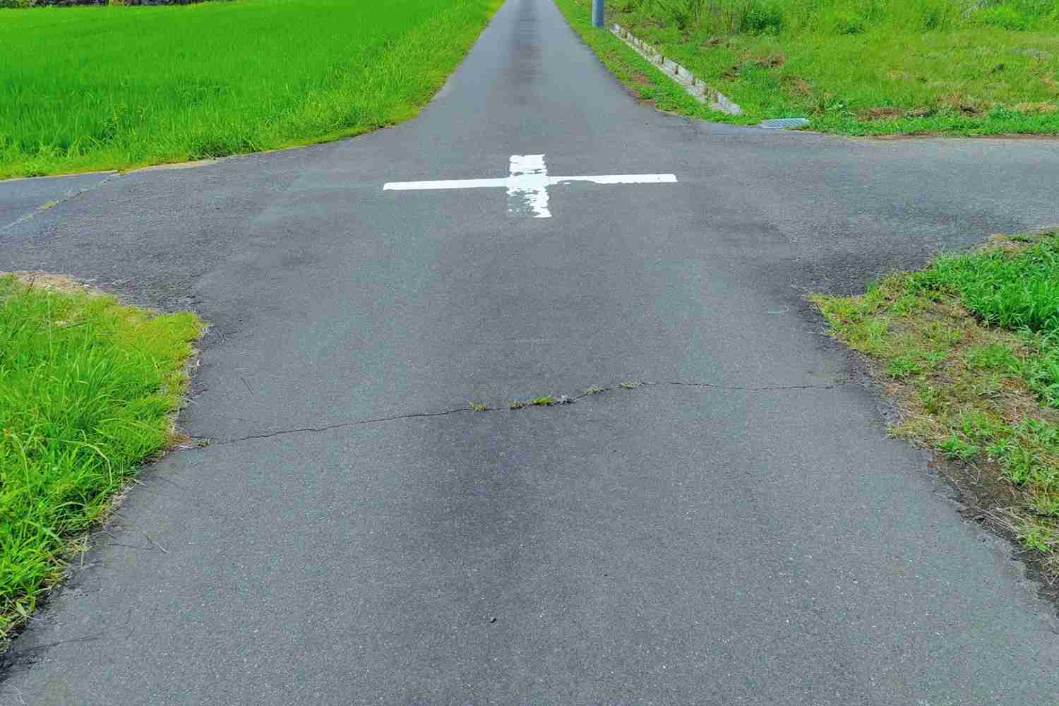 テレビの人気って、いつ終わったと思いますか？