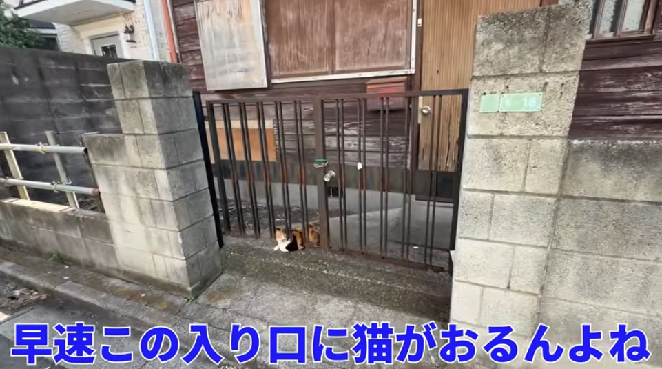 「空き家数全国一」の東京・世田谷区の現状をYouTuberが紹介　「限界集落のような光景」に驚き