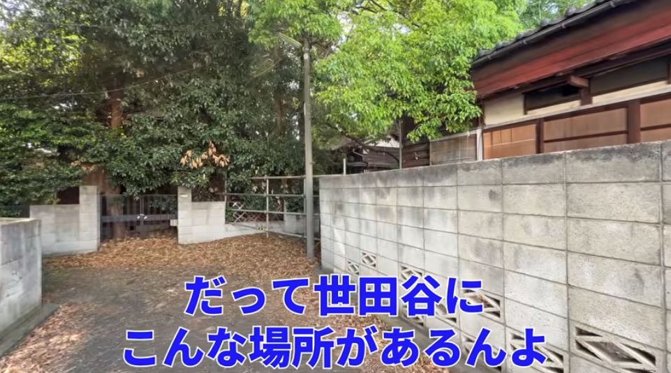 「空き家数全国一」の東京・世田谷区の現状をYouTuberが紹介　「限界集落のような光景」に驚き