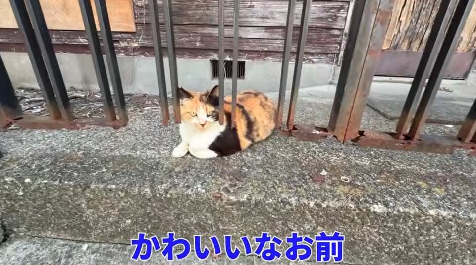 「空き家数全国一」の東京・世田谷区の現状をYouTuberが紹介　「限界集落のような光景」に驚き