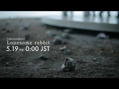 櫻坂46『Lonesome rabbit』 MUSIC VIDEO