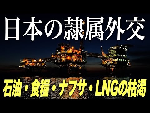 【日本の危機】隷属外交が石油・食糧・ナフサ・LNGの枯渇を招く(アリベイ×石田和靖)