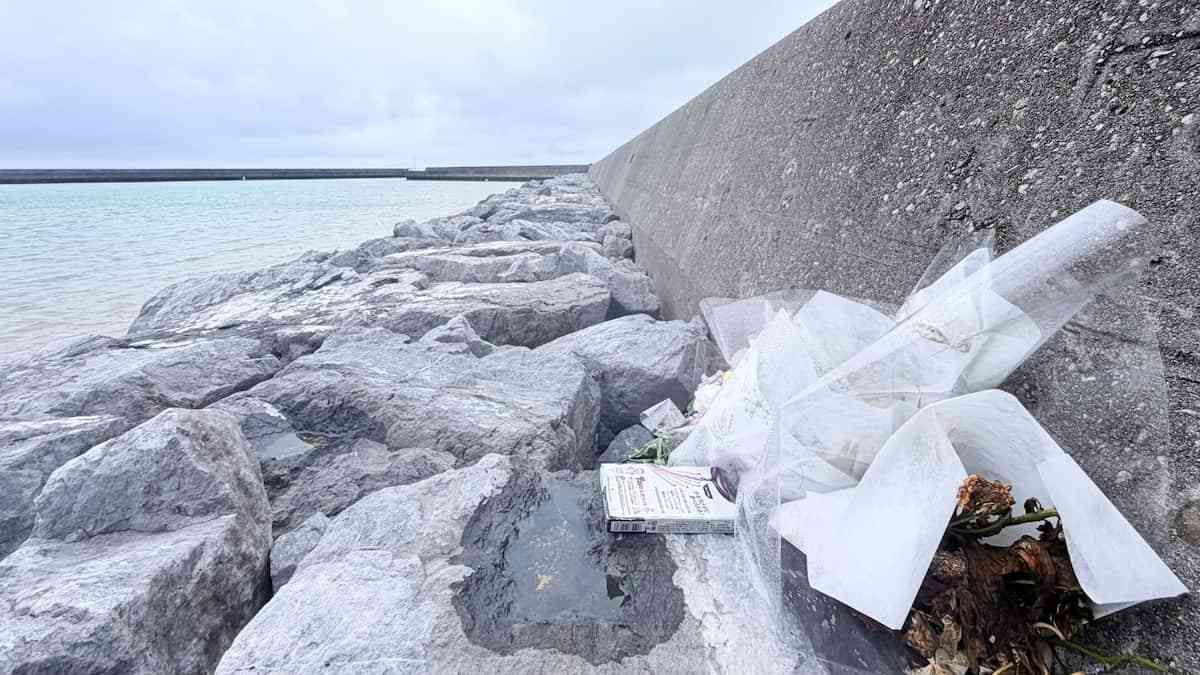 「海人の証言は噓」辺野古転覆、抗議団体の発言を漁業者が否定　事故当日「うねりすごく」 - 産経ニュース