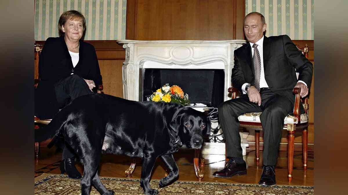 プーチン氏、メルケル氏が「犬が怖いと知らなかった」…会談に愛犬伴ったことを謝罪 : 読売新聞