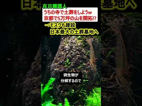 在日韓国人「うちの寺で土葬をしようw」→京都で5万坪の山を開拓して日本最大の土葬墓地へ