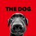 THE DOG and Friends【公式】 on X