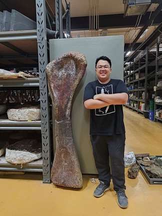 巨大恐竜の新種特定、池のほとりで見つかった化石で判明　タイ
