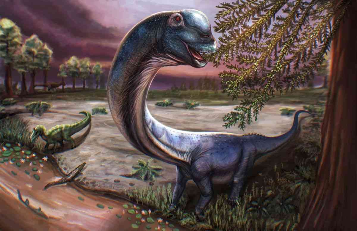 巨大恐竜の新種特定、池のほとりで見つかった化石で判明　タイ(1/3) - CNN.co.jp