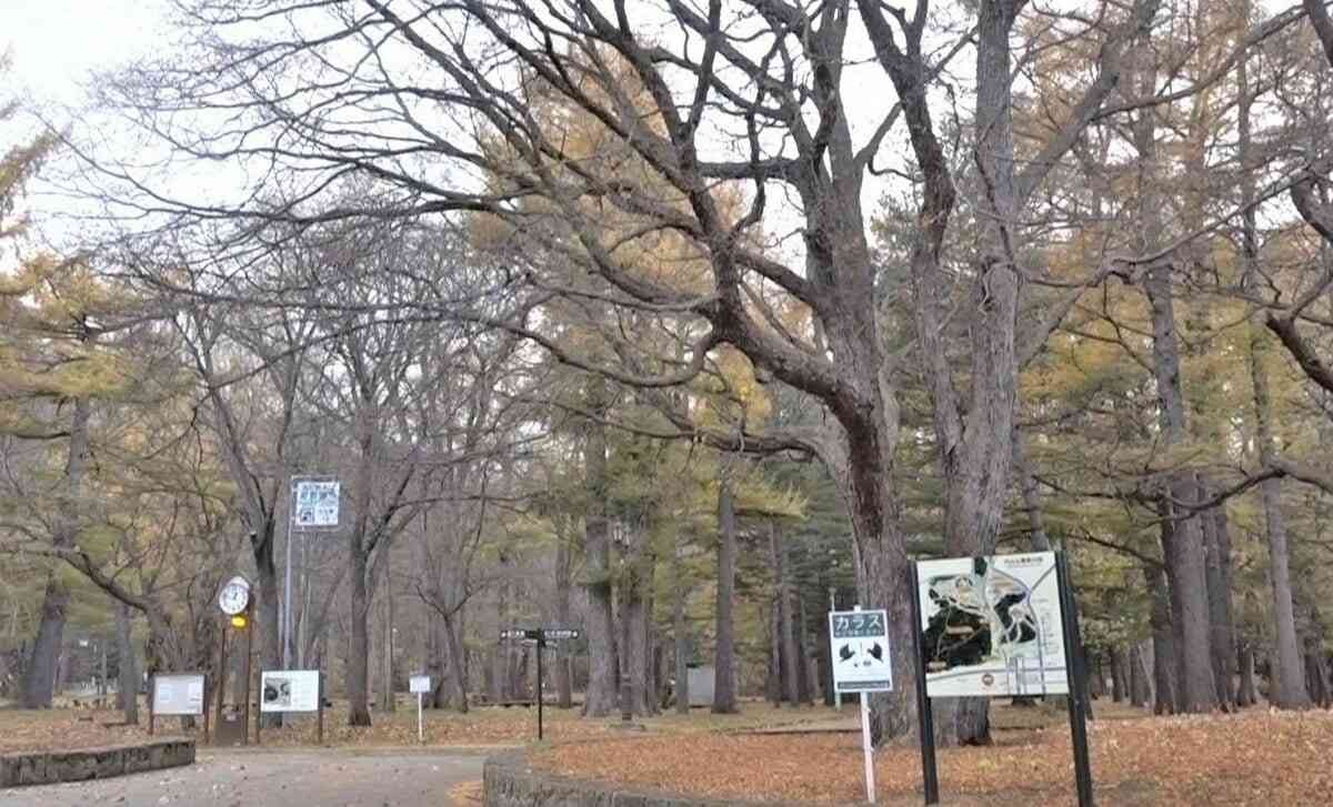 (3ページ目)北海道でゴキブリが「木にびっしり」…なぜ札幌の高級住宅街の隣が“聖域”となったのか | AERA DIGITAL（アエラデジタル）