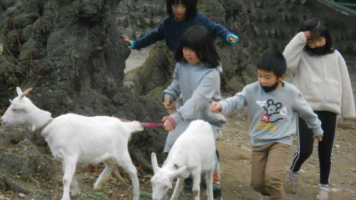 動物とのふれあい体験見直し広がる　ストレス軽減が目的　学校での飼育も急減