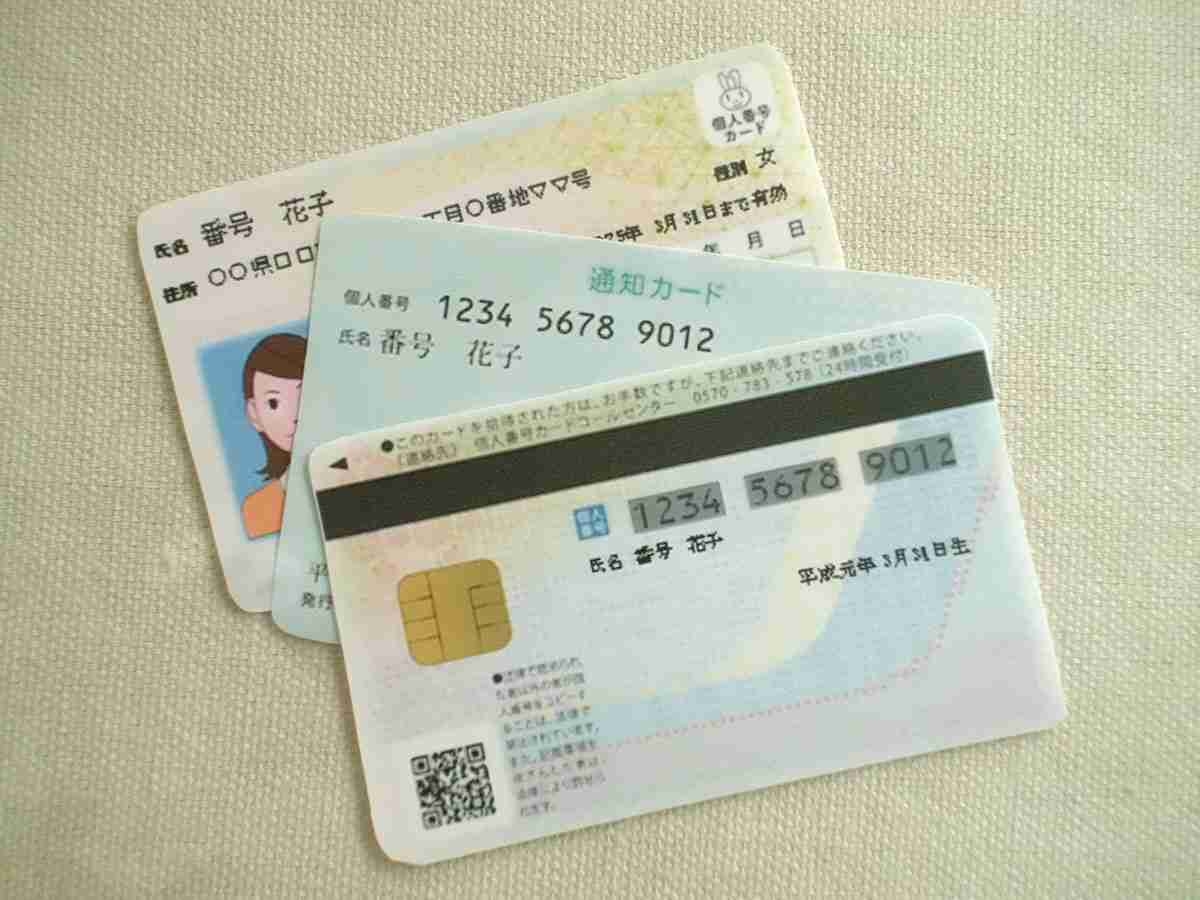 「93万枚」が廃止されていたマイナンバーカード　このままでは“第2の住基カード”に？　「多くの人が“便利さ”を感じていない」