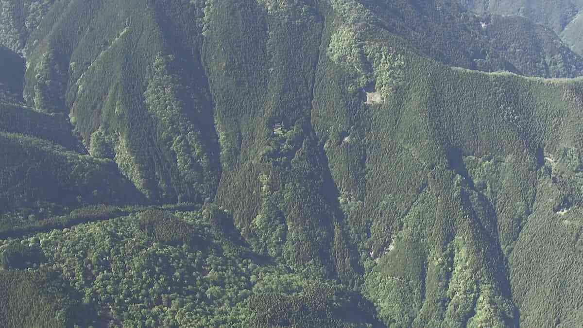 【速報】登山中の男性がクマに襲われ重傷　東京・奥多摩町　警視庁 | TBS NEWS DIG