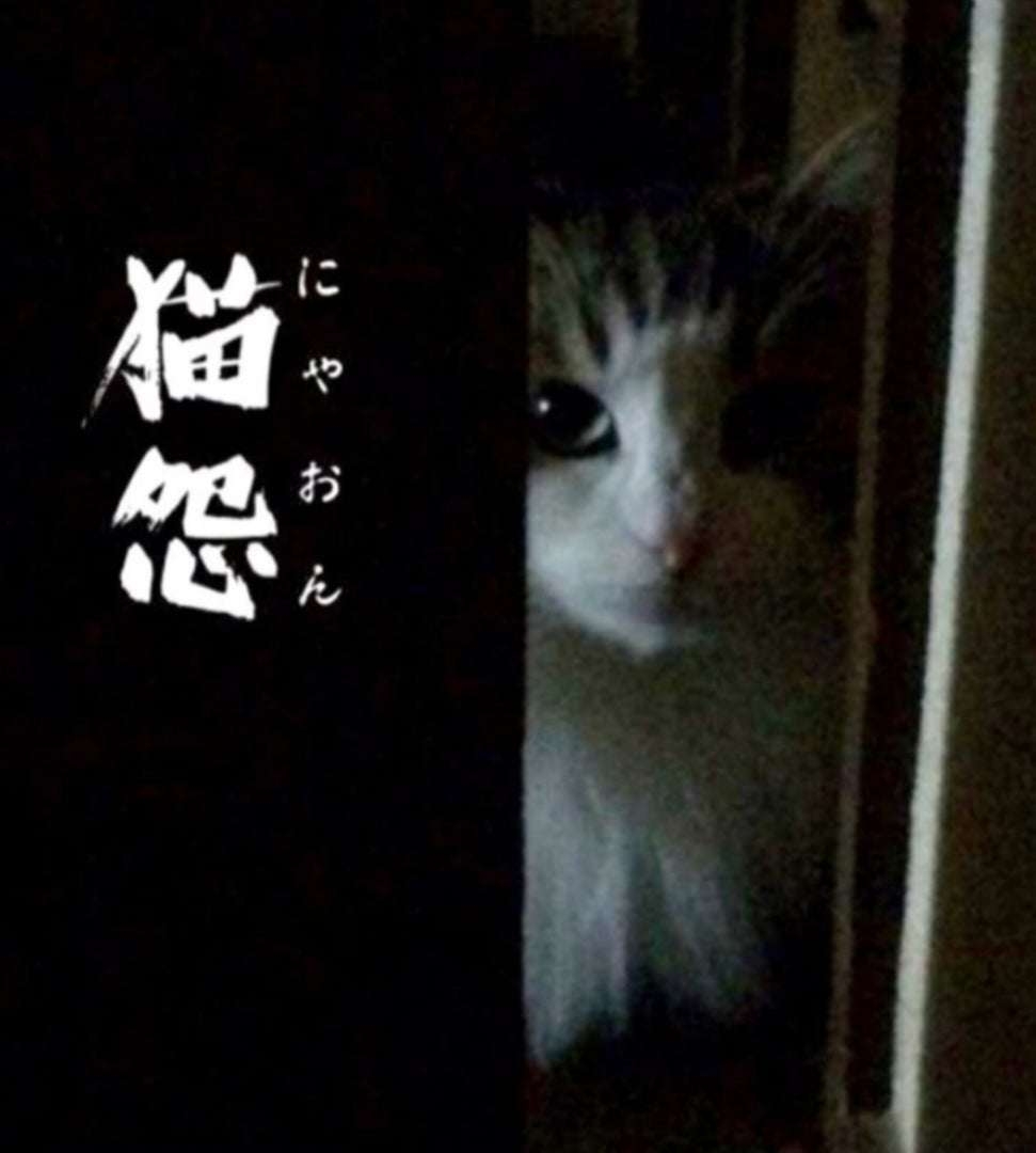 不動産業界の怪談