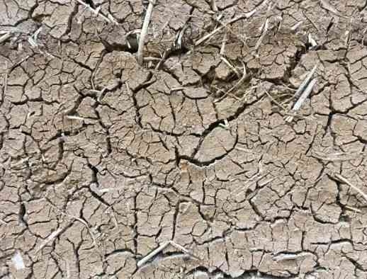 今夏はスーパーエルニーニョ発生の予測も:2027年の世界気温は最高記録更新が必至に