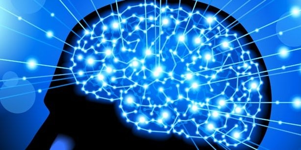 The Principles of Cognitive Function Theory @mbti-notes - Type Theory