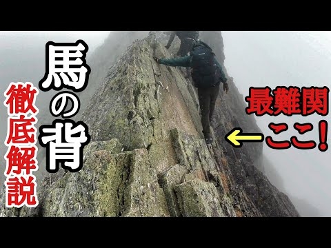 【馬の背・徹底解説】閲覧注意！心臓が弱い人は観ないで下さい。