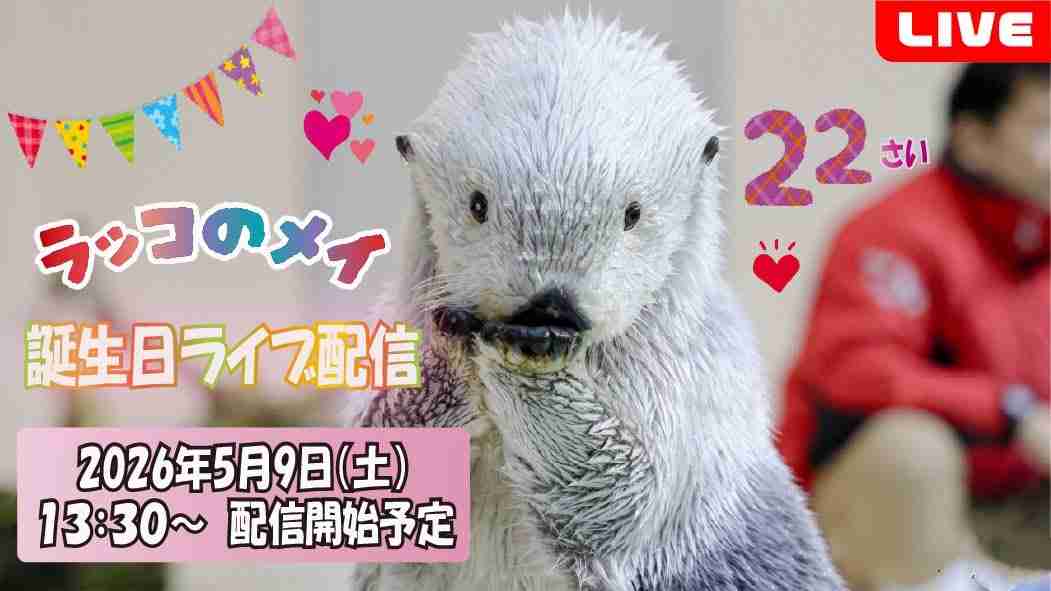 【YouTube】平和なチャンネルが好き