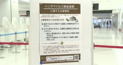 ネズミとの接触避けて　ハンタウイルス　海外渡航者に注意呼びかけ　成田空港 | NEWSjp