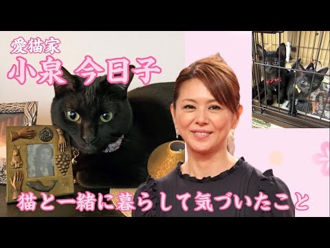 【小泉今日子】猫と一緒に暮らして気づいたこと