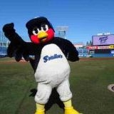 >>20考えても仕方がなくない？どうすることも出来ないんだし。気にせず選手達はプ... | ガールズちゃんねる - Girls Channel -