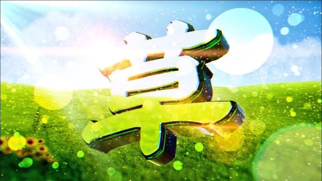 草花遊び🍀🌿