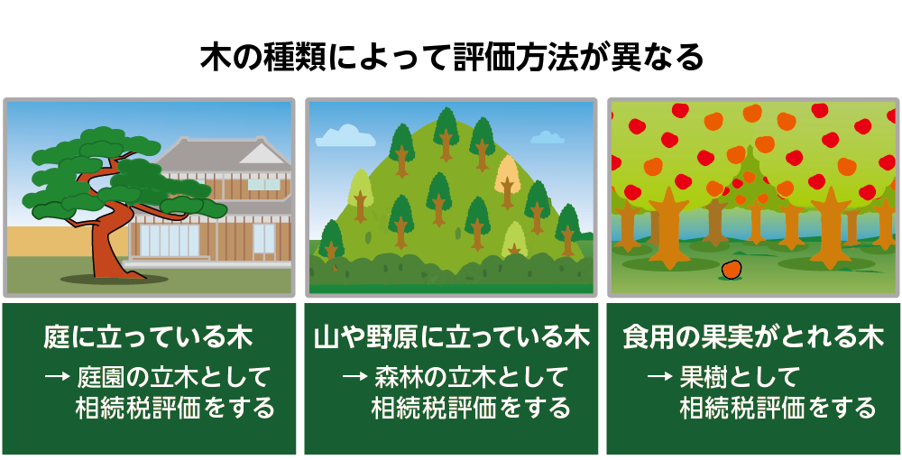 山、田んぼ、畑を相続した人