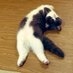 おもち on X