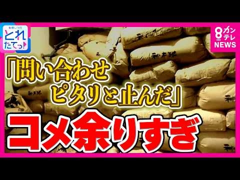 価格暴落危機か？農家「問い合わせピタリ止んだ」今度はコメが余っている...昨年の「米不足」から一転｜旬感LIVE とれたてっ!〈カンテレNEWS〉
