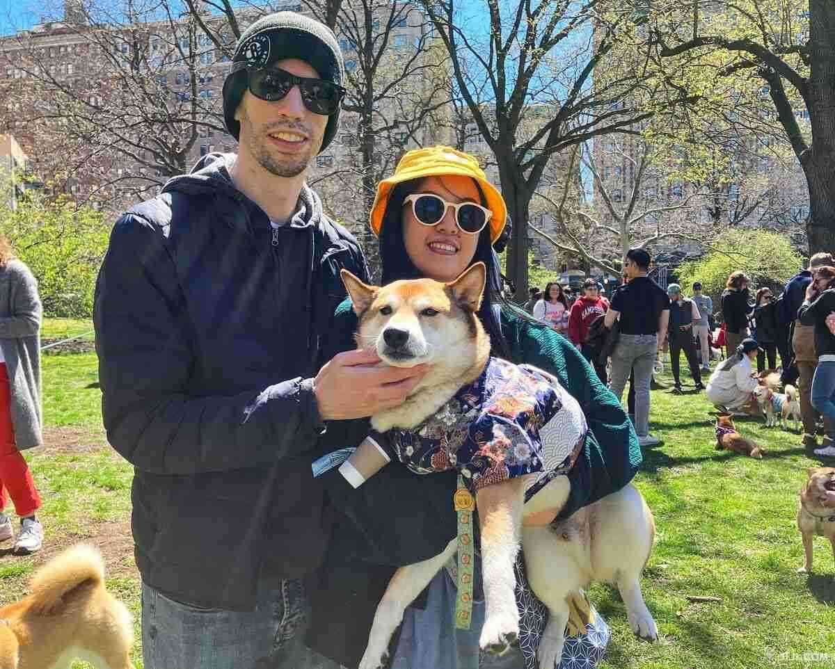 ニューヨークで柴犬が人気　SNS影響？飼い主ら交流