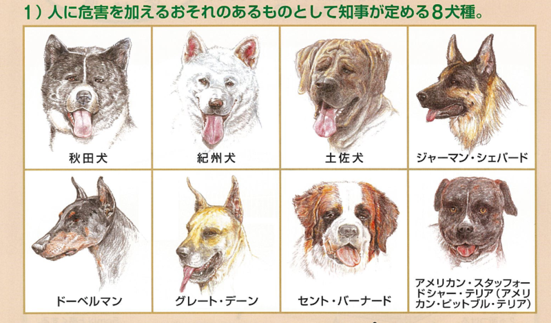 コメントを付けて動物の画像を貼っていくトピ