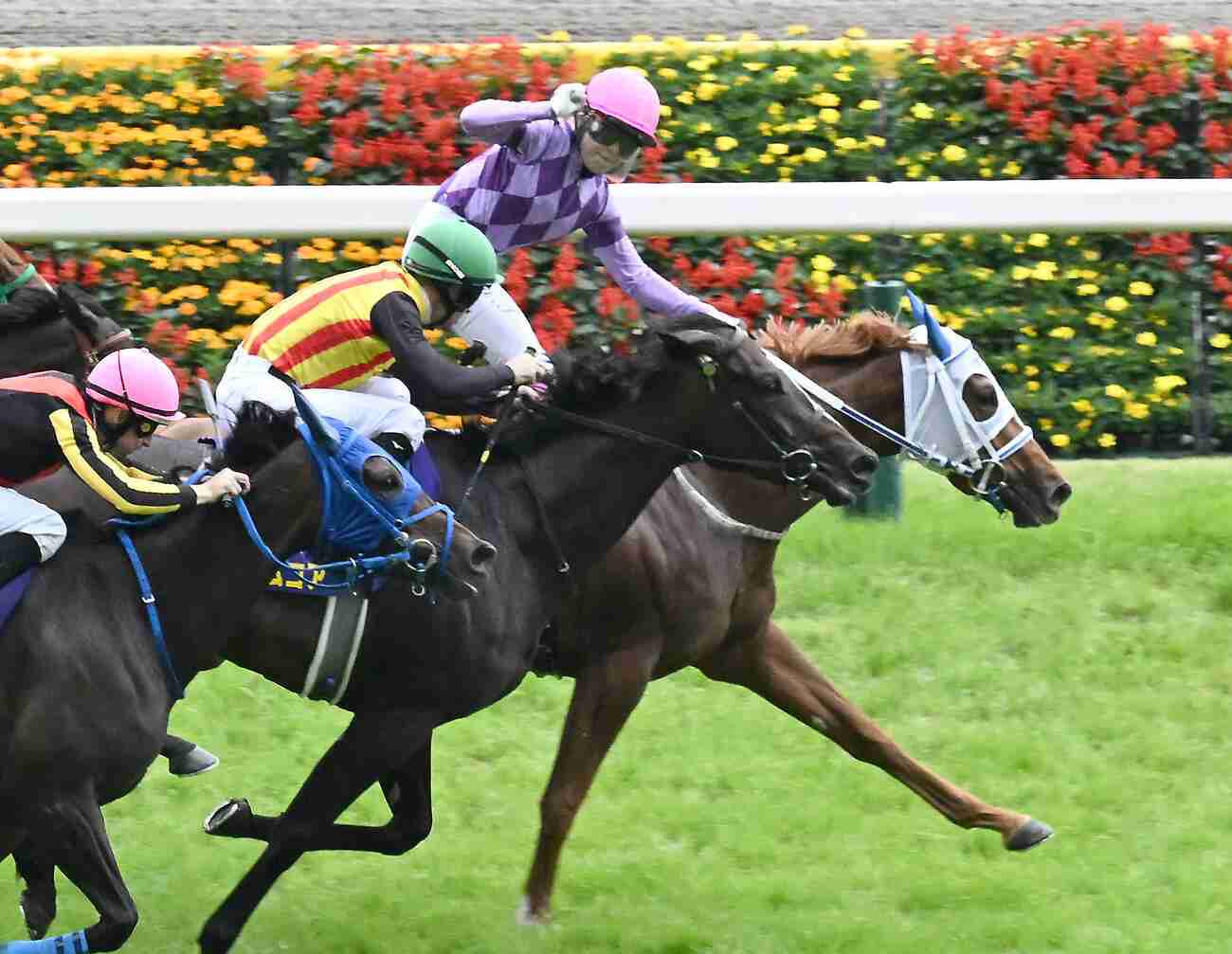 【オークス】ジュウリョクピエロ快勝!今村聖奈騎手が女性騎手としてクラシック初騎乗初制覇