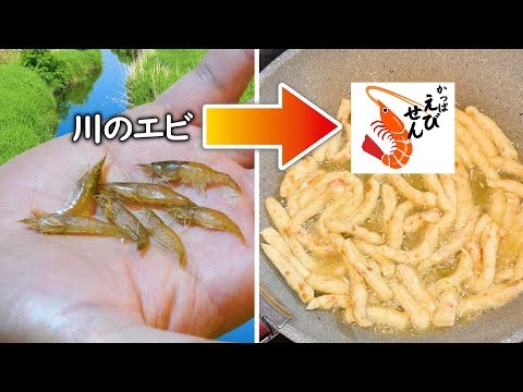 そこら辺の川にいるエビでかっぱえびせん作ってみた