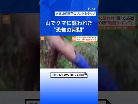 クマに襲われる“恐怖の瞬間”！命の危機に“棒”で応戦「母グマが子を…」発見時に危険な“戦闘のサイン”とは？｜TBS NEWS DIG#shorts