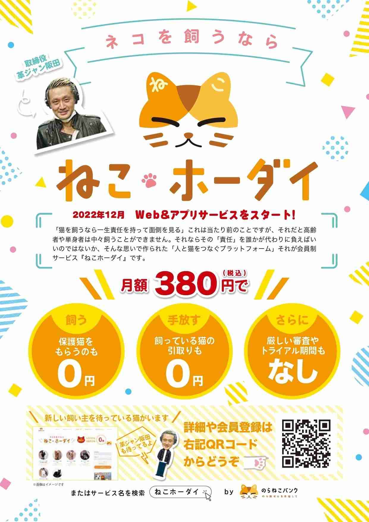 【実況・感想】ザ・ノンフィクション　はぐれ者とはぐれ猫2　前編　〜命を救う革命の行方〜