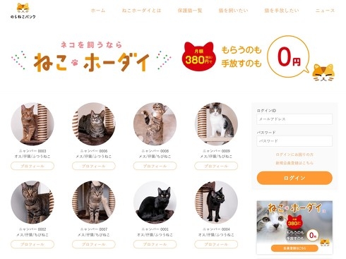 【実況・感想】ザ・ノンフィクション　はぐれ者とはぐれ猫2　前編　〜命を救う革命の行方〜