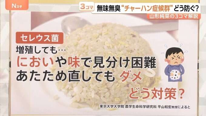 “チャーハン症候群”にご注意! においや味で見分け困難…熱に強い食中毒菌 対策は?