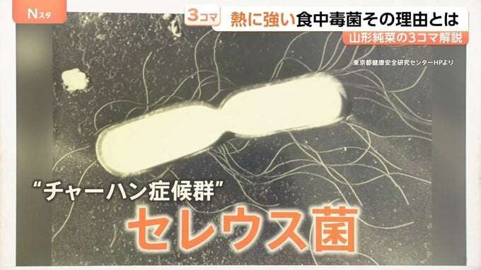 “チャーハン症候群”にご注意! においや味で見分け困難…熱に強い食中毒菌 対策は?