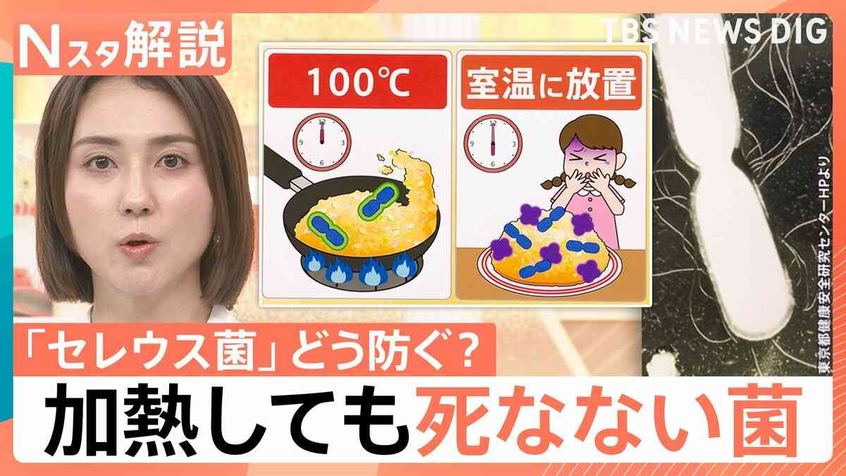 “チャーハン症候群”にご注意！ においや味で見分け困難…熱に強い食中毒菌 対策は？【Nスタ解説】 | TBS NEWS DIG
