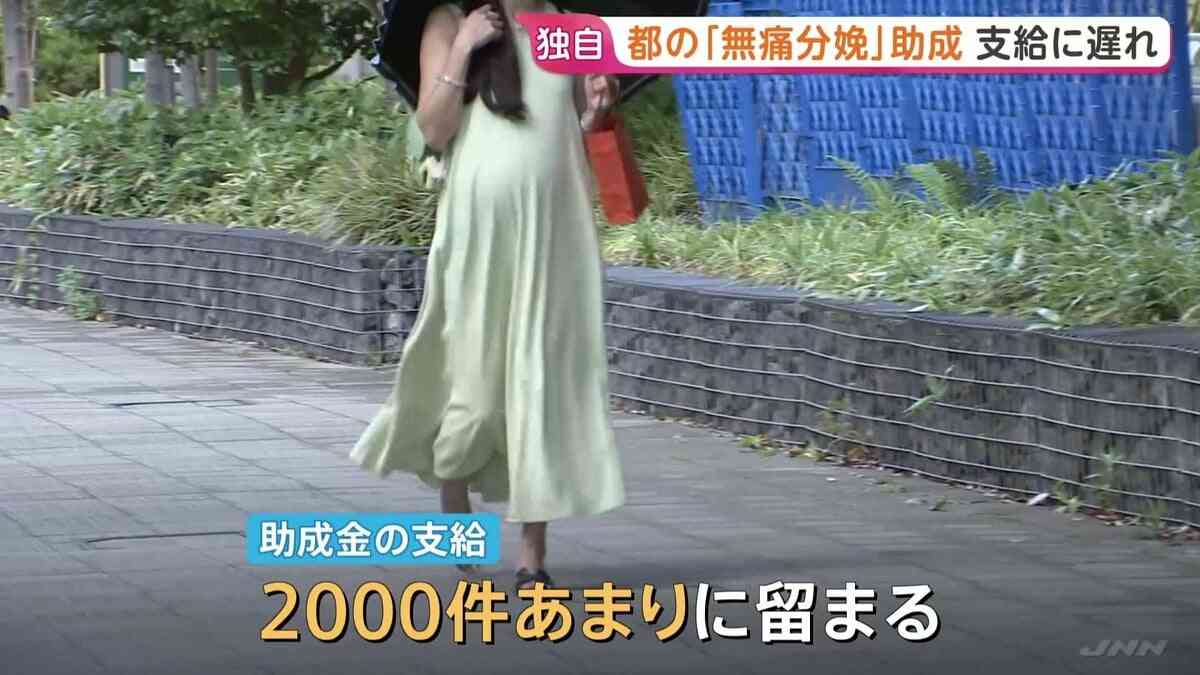 【独自】東京都の「無痛分娩」助成　“想定超える申請”で支給に遅れ　去年10月から“最大10万円”　都道府県で初 | TBS NEWS DIG