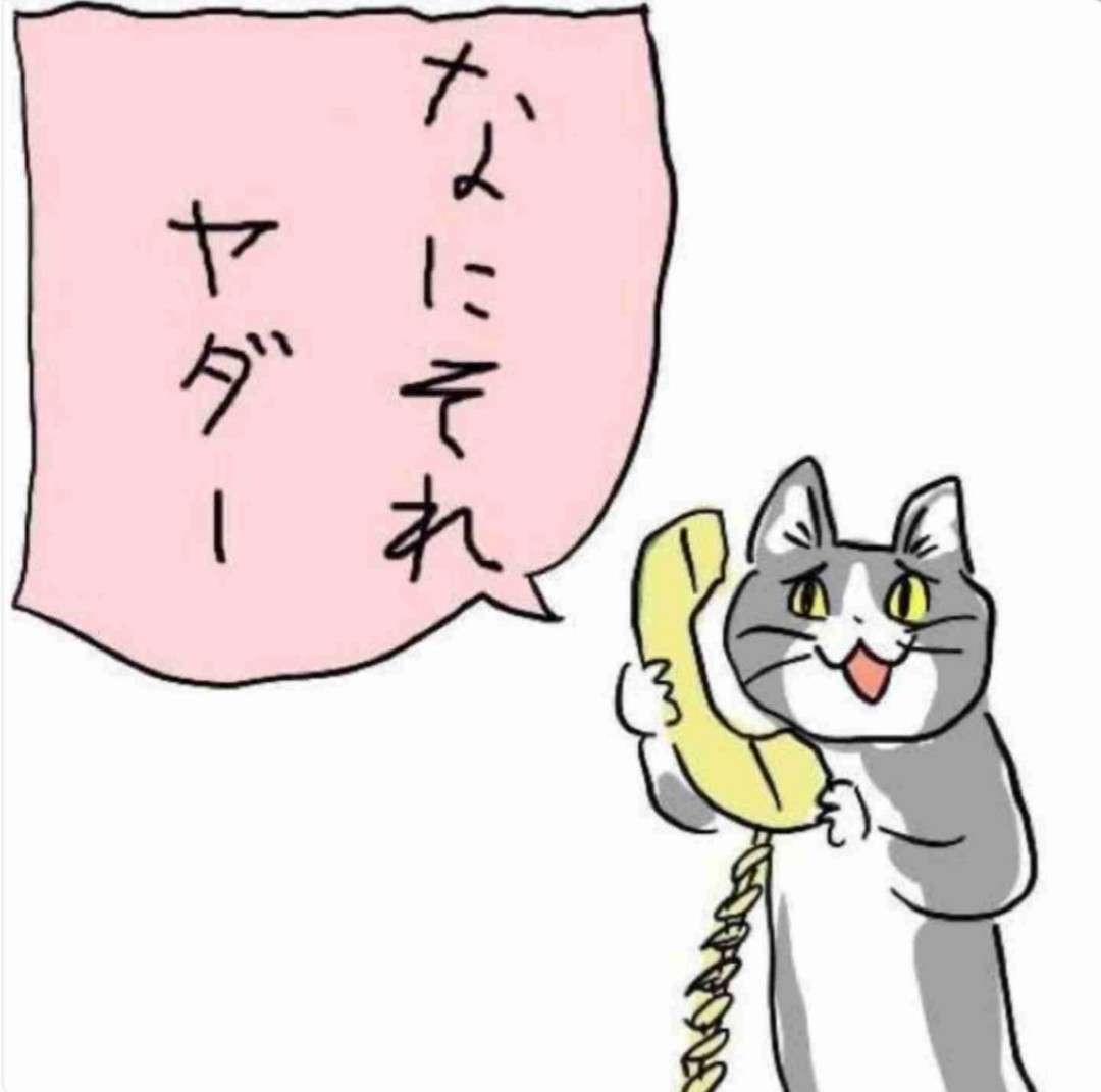 ガルのコメント用に保存してる画像