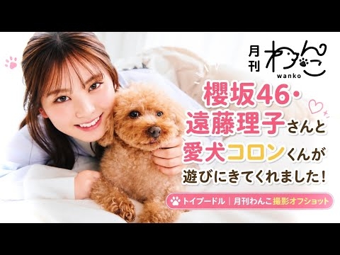 櫻坂46・遠藤理子さんと愛犬コロンくんが遊びにきてくれました！（トイプードル｜月刊わんこ撮影オフショット）