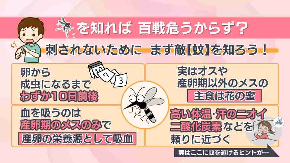 「もう蚊に気をつけて」虫ケア用品大手も注意を促すほど…今年は蚊の“当たり年”? 専門家が明かす大量発生の予兆と意外な対策法 もうひとつの「敵」ダニにも要注意!