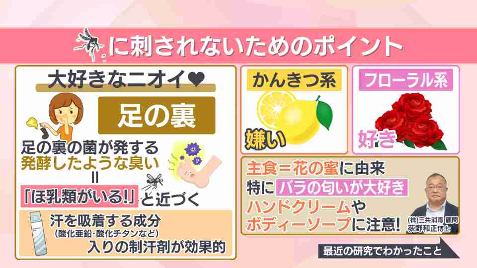 「もう蚊に気をつけて」虫ケア用品大手も注意を促すほど…今年は蚊の“当たり年”? 専門家が明かす大量発生の予兆と意外な対策法 もうひとつの「敵」ダニにも要注意!