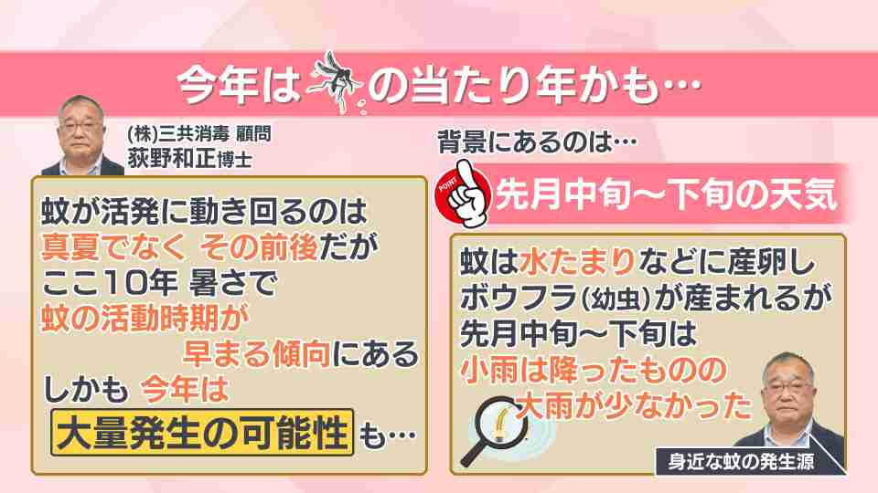 「もう蚊に気をつけて」虫ケア用品大手も注意を促すほど…今年は蚊の“当たり年”? 専門家が明かす大量発生の予兆と意外な対策法 もうひとつの「敵」ダニにも要注意!