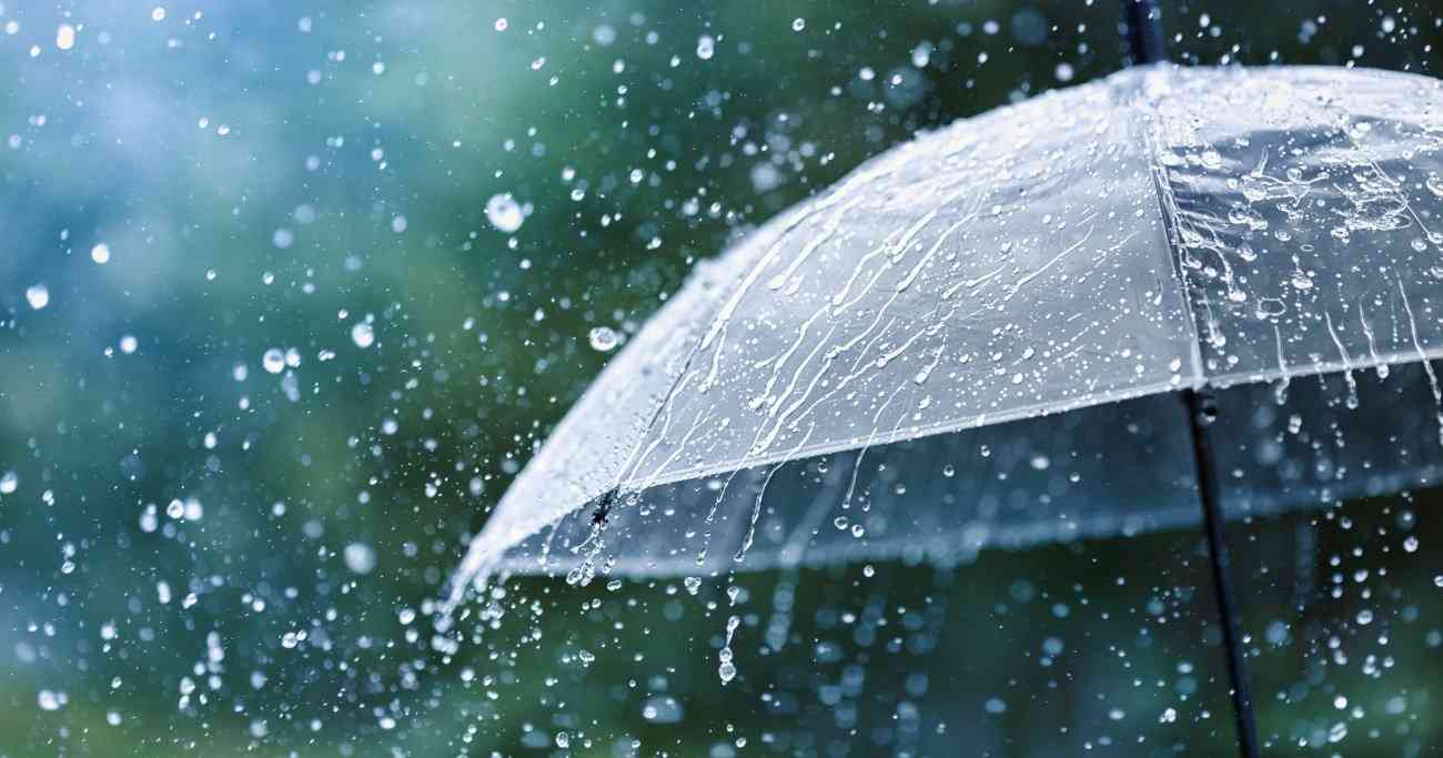 【雨の日】さらにポンコツになる人