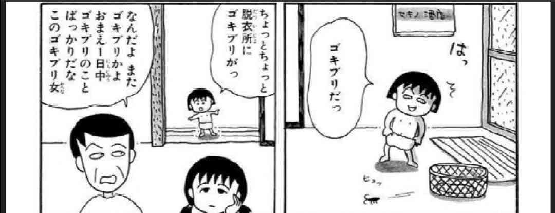 【教えて】G対策【※画像は無しでお願いします🙇‍♀️】